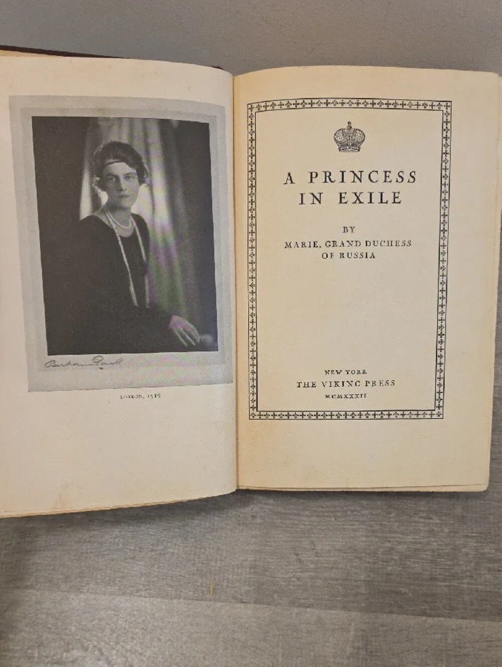 A Princess in Exile - Brown Hardcover Book